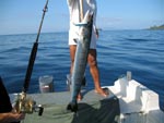 bali_fishing