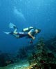 bali fishing scuba diving